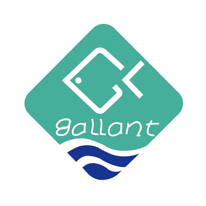 GALLANT OCEAN INTERNATIONAL, INC.